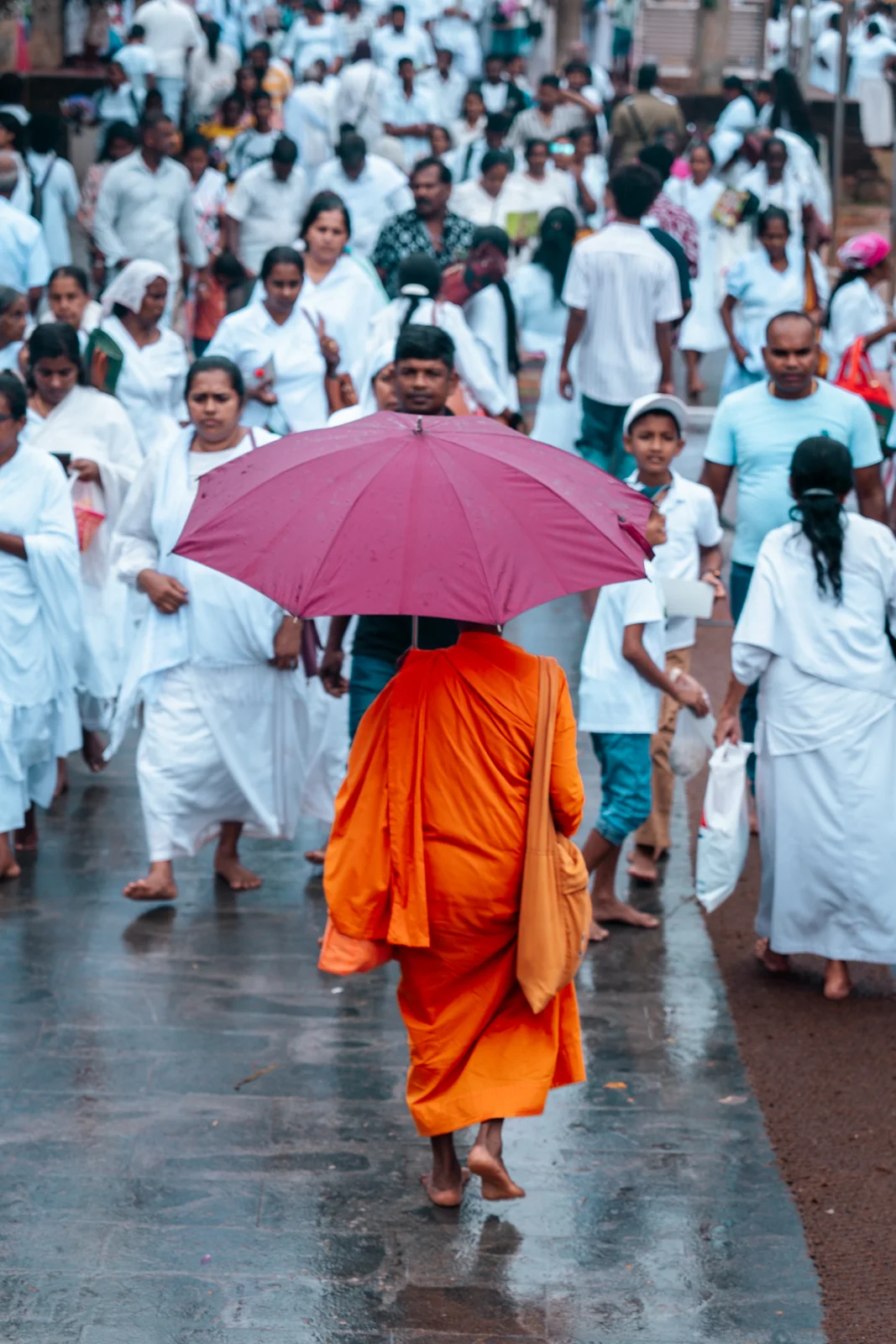 Un moine vêtu d’orange marche sous un parapluie rouge parmi une foule vêtue de blanc, un jour de pluie.